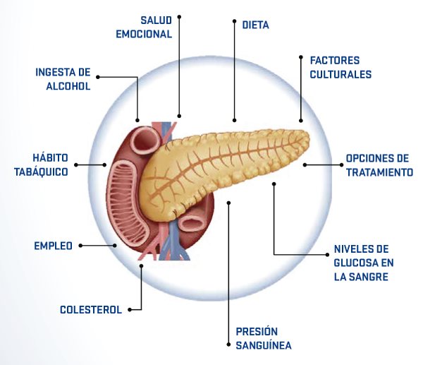 Indicadores para evaluar la salud del paciente diabetico