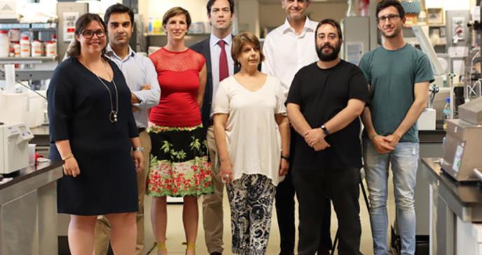Hallan nueva terapia para la miocardiopatía arritmogenética