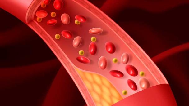 La disfunción endotelial estaría vinculada al riesgo de cáncer