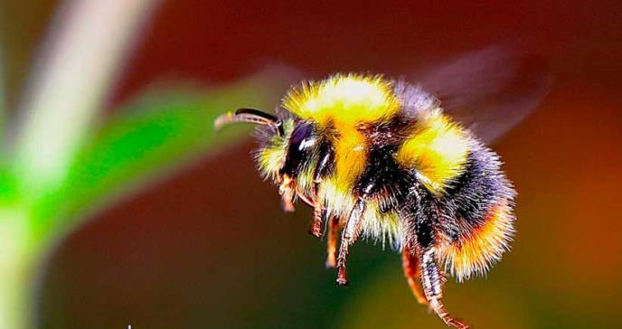 La naturaleza ya no puede mantener a los humanos