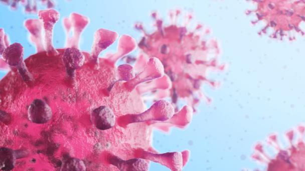 La OMS confirma que el coronavirus viaja en gotas y no diseminado por el aire La OMS confirma que el coronavirus viaja en gotas y no diseminado por el aire