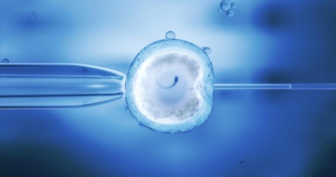 La polémica técnica por la que nació el primer bebé de tres padres como método de fertilidad