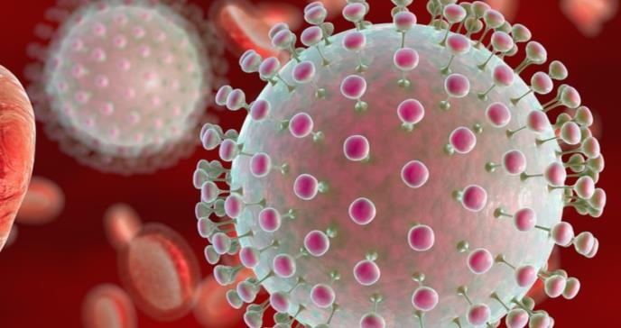 Las cepas americanas de Zika son más virulentas que las del Pacífico y las asiáticas