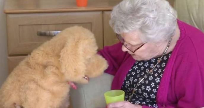 Las mascotas robóticas: fieles compañeras de las personas con Alzheimer