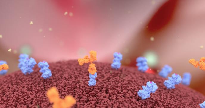 Descubren anticuerpos que podrían crear una vacuna universal contra la gripe