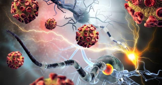 Mejoran la inmunoterapia para el cáncer con bacterias que actúan como un caballo de Troya