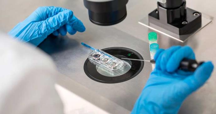Nace el primer bebé de una mujer con cáncer a partir de óvulos madurados en el laboratorio