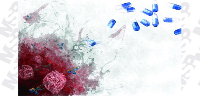 Nanopartículas basadas en almidón potencian la acción de un fármaco anticancerígeno