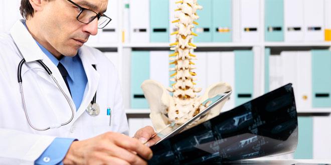 Prueban con éxito biomateriales avanzados para regenerar el nervio ciático
