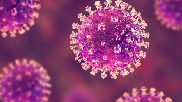 Científicos identifican posibles inhibidores del virus Nipah Científicos identifican posibles inhibidores del virus Nipah