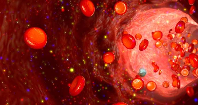 Demuestran que biomarcador predice el riesgo de sufrir insuficiencia cardíaca