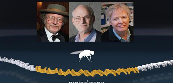 Investigación del reloj interno, nuevo Nobel de Medicina 2017