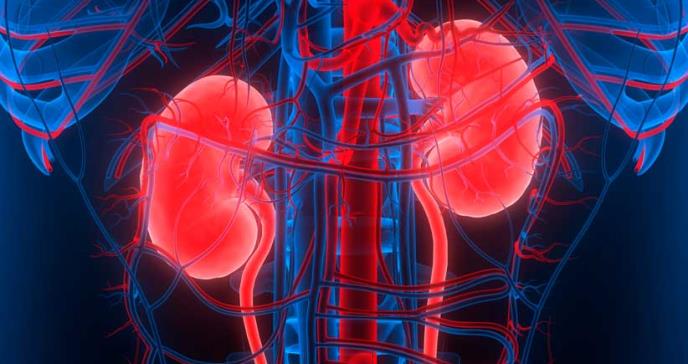Prueban novedosa inyección de terapia génica para tratar enfermedades del riñón