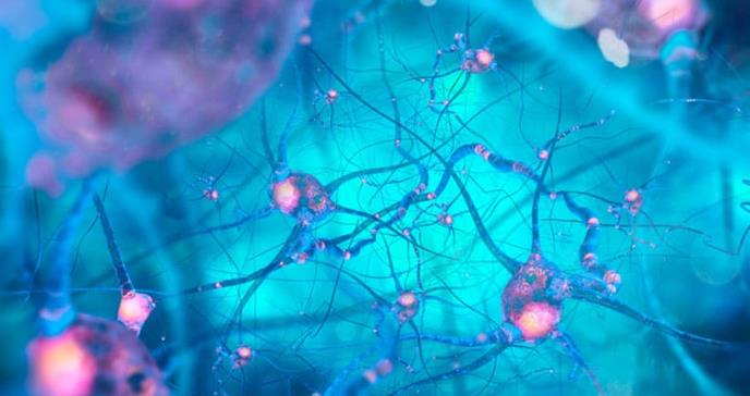 Nuestro cerebro predice palabras antes de ser pronunciadas