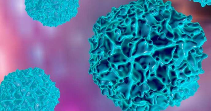 Alerta ante las secuelas sanitarias y epidemiológicas