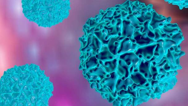 OMS declarará erradicación del virus salvaje de la poliomielitis tipo 3 OMS declarará erradicación del virus salvaje de la poliomielitis tipo 3