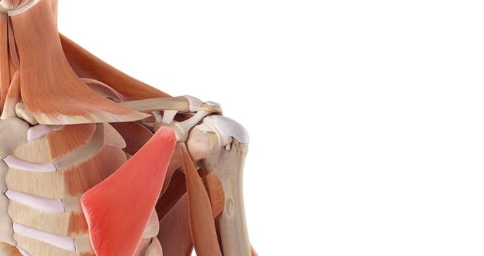Oncología musculoesquelética