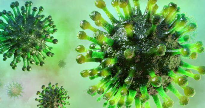 Descubren eficaz polímero natural ‘in vitro’ frente a cinco virus diferentes