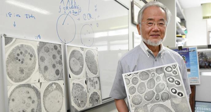 Nobel de Medicina 2016 por iluminar el sistema de reciclaje del cuerpo