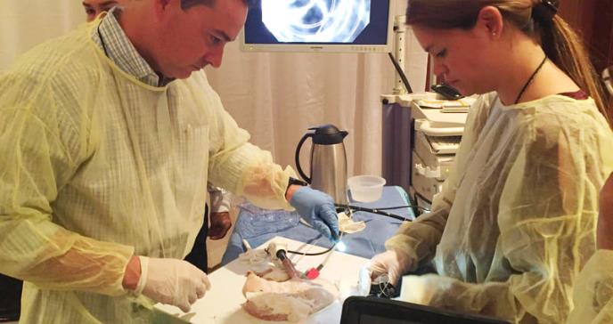 Puerto Rico a la vanguardia en procedimientos endoscópicos