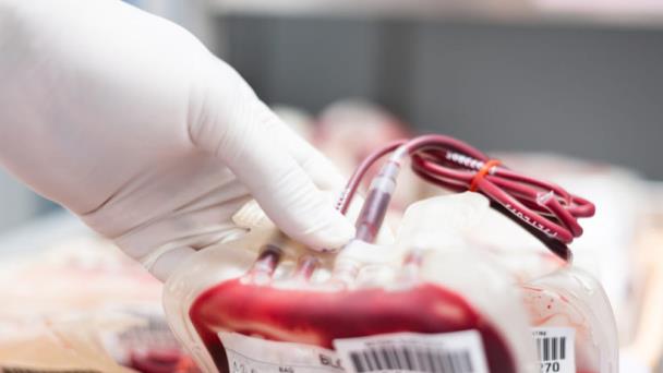 Sangre dorada el tipo sanguíneo más milagroso y letal Sangre dorada el tipo sanguíneo más milagroso y letal