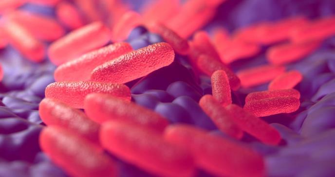 Cómo protegerse de la salmonela, la bacteria de los alimentos