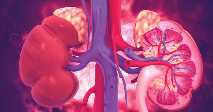 Guías de tratamiento para el fallo renal por diabetes