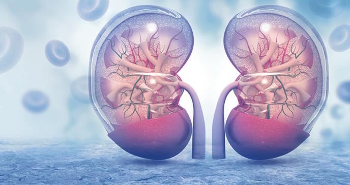Pruebas combinadas para determinar enfermedad renal