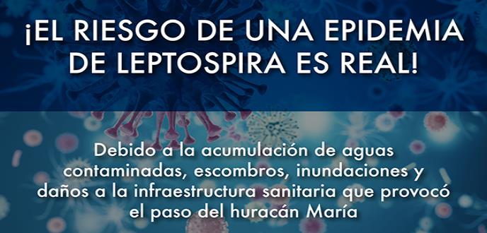 Leptospira