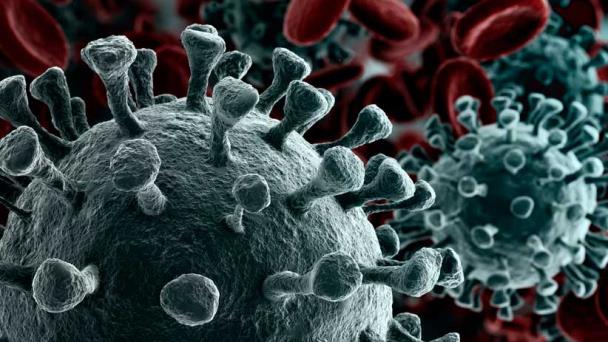¿Sabemos quién es el paciente cero del coronavirus? ¿Sabemos quién es el paciente cero del coronavirus?