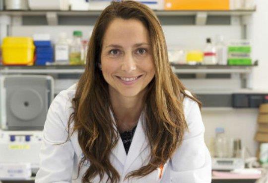 Biobanco de modelos de cáncer de mama permite probar respuesta a fármacos antitumorales Biobanco de modelos de cáncer de mama permite probar respuesta a fármacos antitumorales