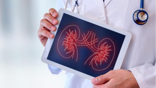 Efectivo tratamiento de inmunoterapia con anticuerpos monoclonales para tratar el cáncer de riñón