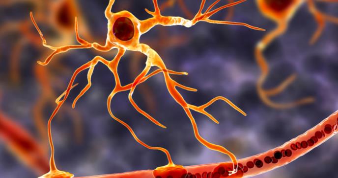 Diseñan un robot capaz de deslizarse por los vasos sanguíneos del cerebro