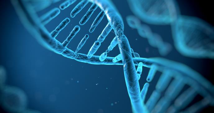 Cómo un viajero del siglo XVII propagó una mutación genética que causa cáncer 400 años después