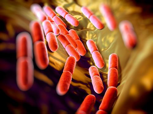 Revelan falta de antibióticos para pacientes pediátricos hospitalizados Revelan falta de antibióticos para pacientes pediátricos hospitalizados
