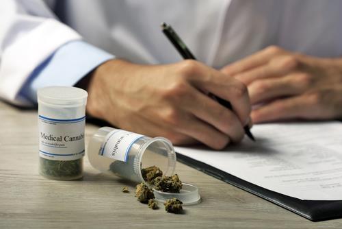 Gobierno confirma reglamento del uso medicinal de los derivados de cannabinoides en Puerto Rico Gobierno confirma reglamento del uso medicinal de los derivados de cannabinoides en Puerto Rico
