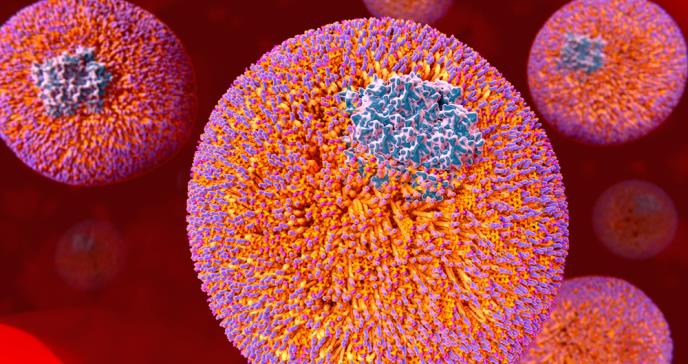 Niveles muy bajos de colesterol no suponen riesgo para la salud