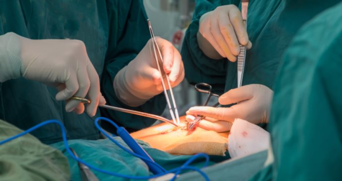 Las endoprótesis vasculares son los dispositivos más utilizados en casos de infartos agudos del miocardio