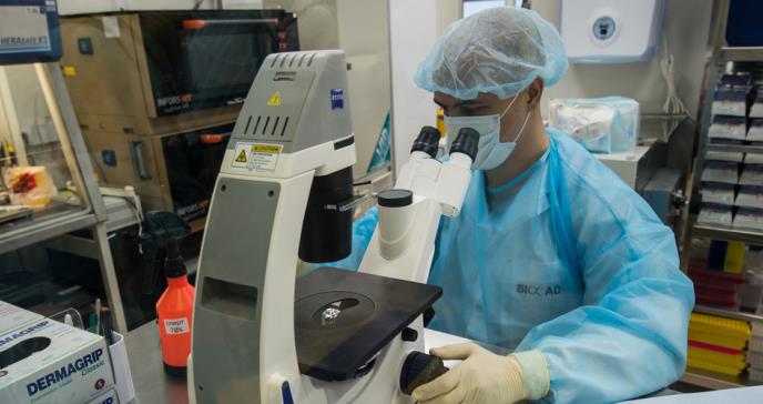 Nuevas pruebas vinculan la flora intestinal con la esclerosis múltiple