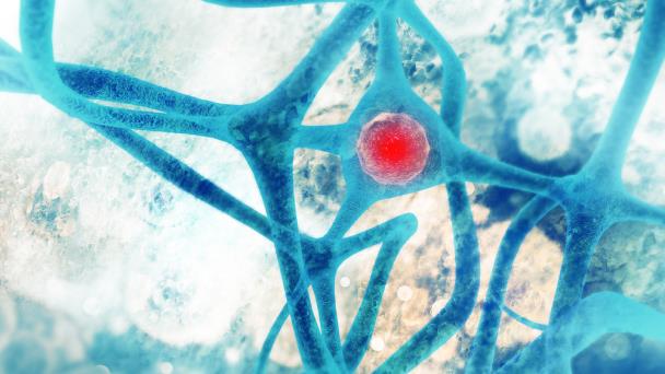 El virus del zika podría utilizarse para tratar a pacientes con cáncer cerebral El virus del zika podría utilizarse para tratar a pacientes con cáncer cerebral