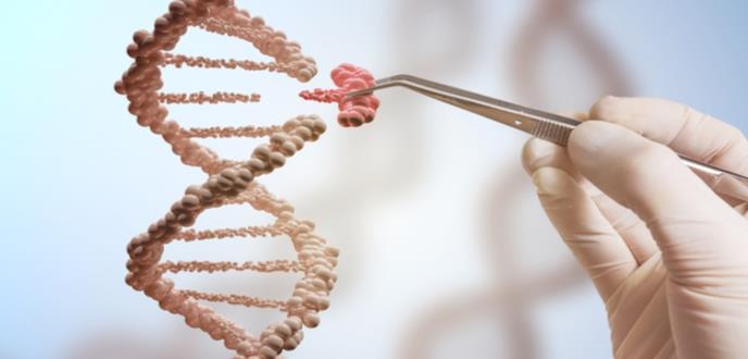 La inmortalidad del ser humano