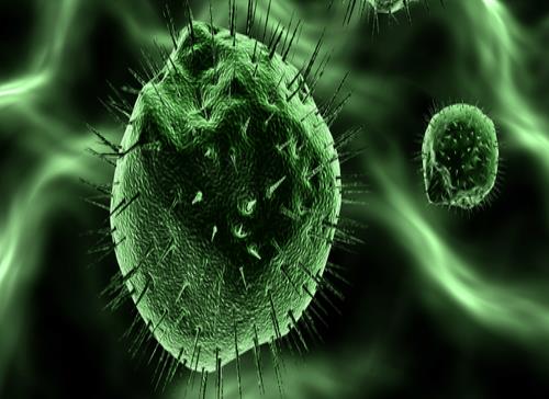 Activo año en investigaciones científicas contra el cáncer y de lucha médica en Puerto Rico