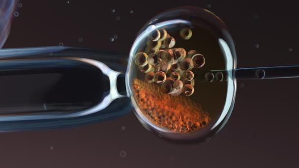 Crean medicamento contra el catarro común que evita la replicación de rhinovirus