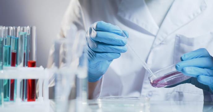 Estudio revela  que la edad biológica del cuerpo puede revertirse