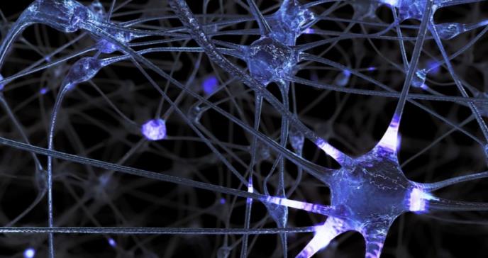 Una cirugía reconecta los nervios y revierte la parálisis en manos y brazos en 13 tetrapléjicos