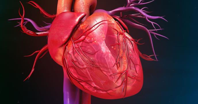 The Arrhytmia Group: Cardiovascular Review 2020