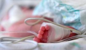 Descubren caso de bacteriemia disfrazado de meningitis en el Hospital Municipal de San Juan