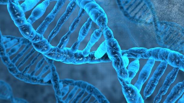 Un estudio genómico atribuye a la anorexia un origen metabólico Un estudio genómico atribuye a la anorexia un origen metabólico