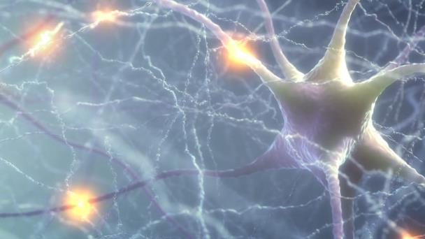 Un implante de grafeno detecta actividad cerebral a frecuencias extremadamente bajas