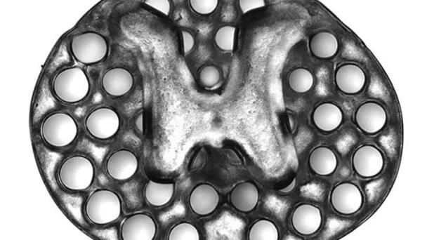 Tecnología de impresión 3D reconecta áreas lesionadas en la médula espinal Tecnología de impresión 3D reconecta áreas lesionadas en la médula espinal